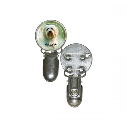 Nummerlappshållare med Bichon Havanais