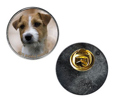 Pin med Jack Russel Terrier