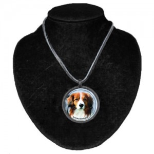 Halsband med Kooikerhondje