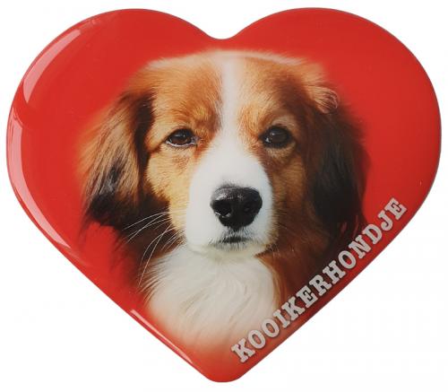 Dekal med Kooikerhondje