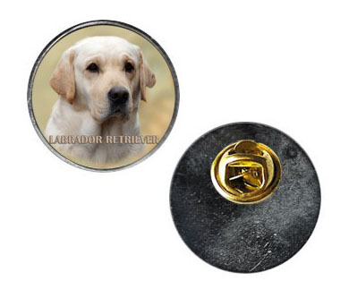 Pin med Labrador