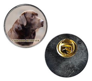 Pin med Labrador