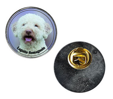 Pin med Lagotto Romagnolo
