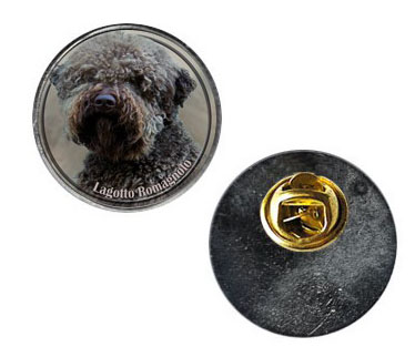 Pin med Lagotto Romagnolo