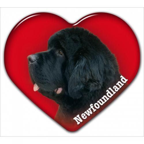 Dekal med New Foundland