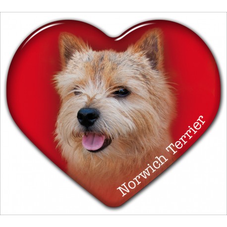 Dekal med Norwichterrier