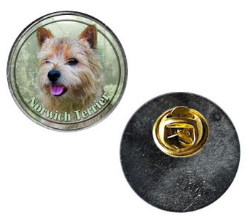 Pin med Norwichterrier