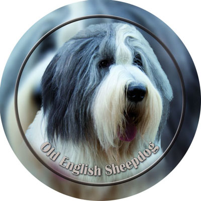 Dekal med Old English Sheepdog