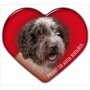 Dekal med Perro de Agua Espanol