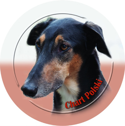 Dekal med Chart Polski