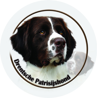 Dekal med Drentsche Patrijshond