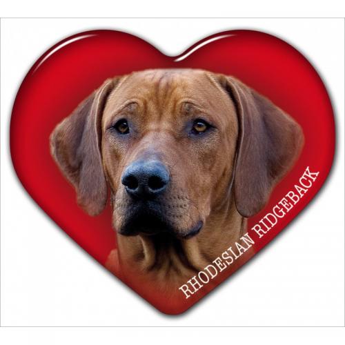 Dekal med Rhodesian Ridgeback
