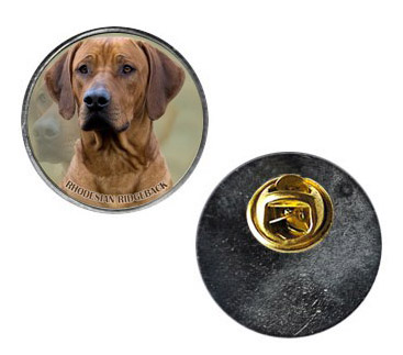 Pin med Rhodesian Ridgeback