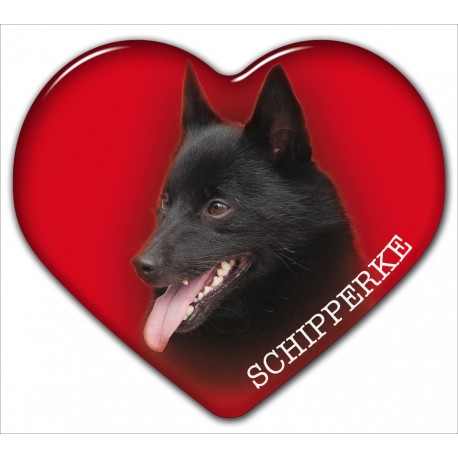 Dekal med Schipperke