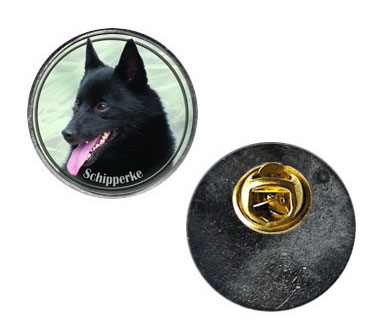 Pin med Schipperke