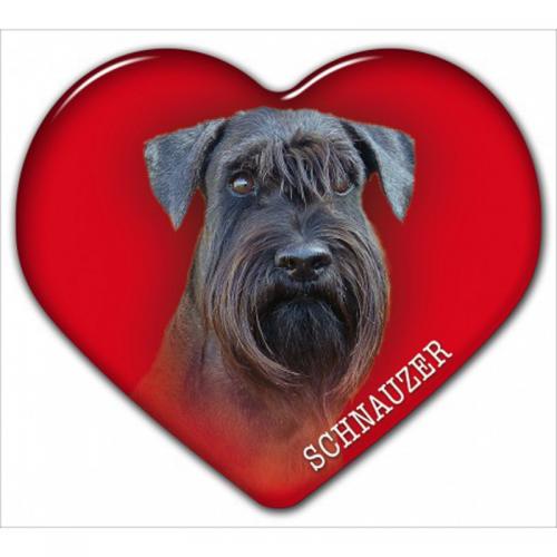 Dekal med Schnauzer