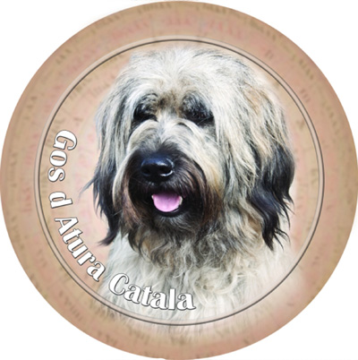 Dekal med Gos d`Atura Catala