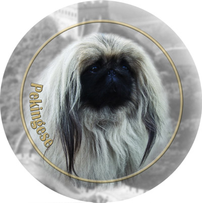Dekal med Pekingese