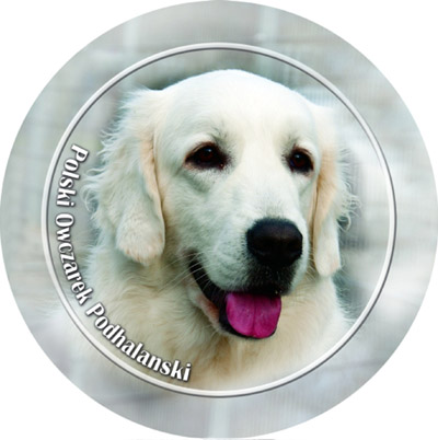 Dekal med Polski Owczarek Podhalanski