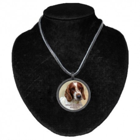 Halsband med Welsh Springer Spaniel
