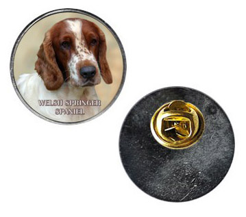 Pin med Welsh Springer Spaniel