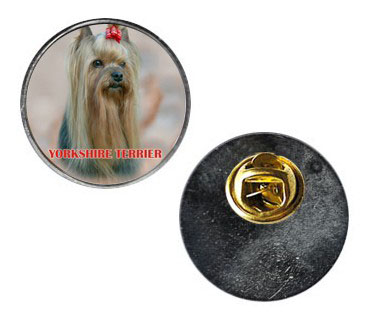 Pin med Yorkshireterrier