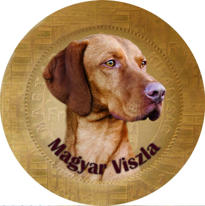 Dekal med Ungersk Vizsla
