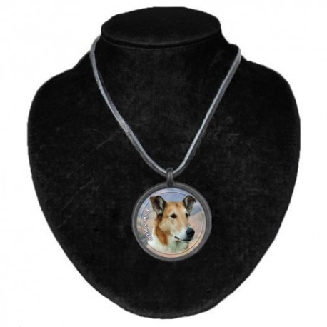 Halsband med Korthårig Collie