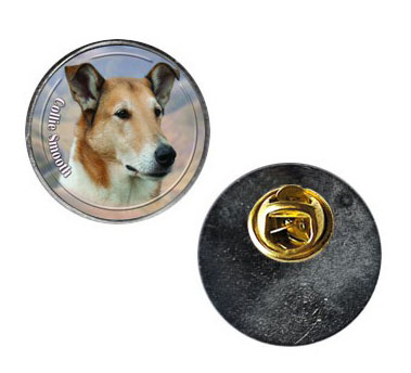 Pin med Korthårig Collie