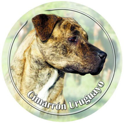 Dekal med Cimarron Uruguayo