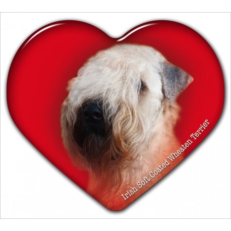 Dekal med Irish Softcoated Wheaten Terrier
