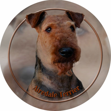 Dekal med Airdaleterrier