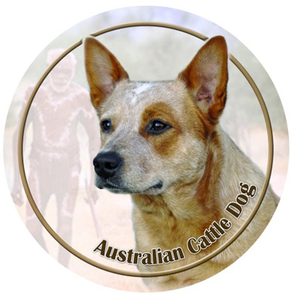 Dekal med Australian Cattle Dog