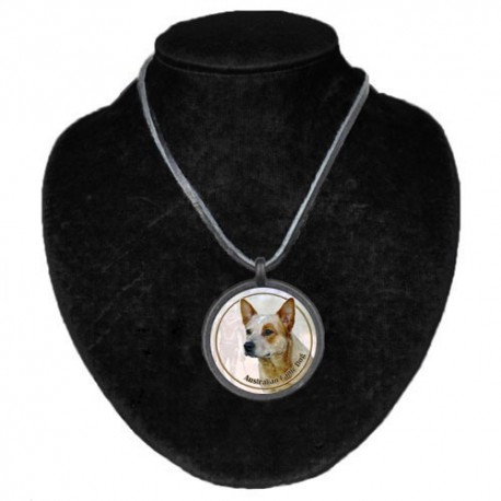 Halsband med Australian Cattle Dog