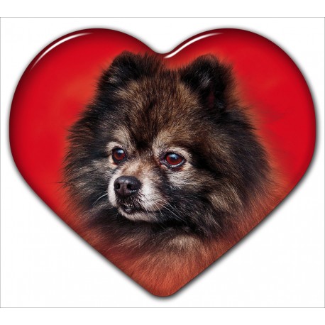 Dekal med Tysk Spets