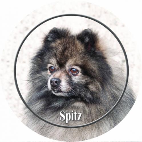 Dekal med Tysk Spets