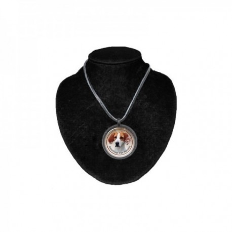 Halsband med American Foxhound
