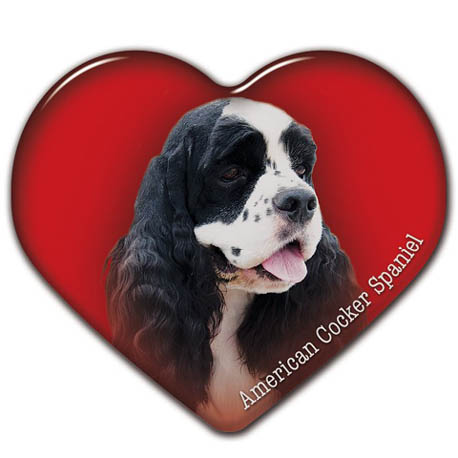 Dekal med Amerikansk Cocker Spaniel