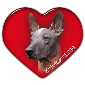 Dekal med Xoloitzcuintle