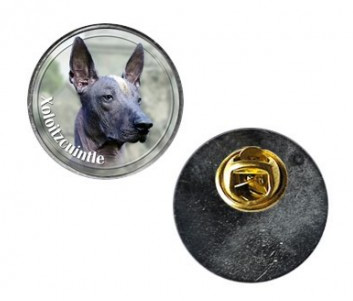 Pin med Xoloitzcuintle (Mexikansk Nakenhund)