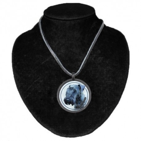 Halsband med Ceskyterrier