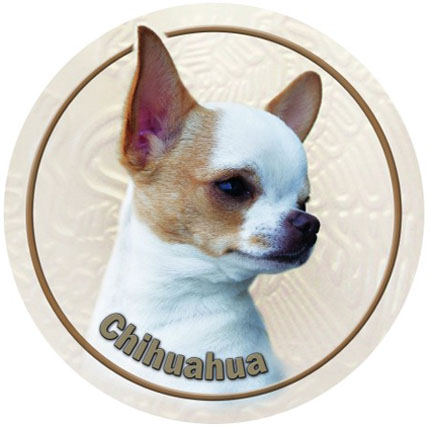 Dekal med Chihuahua