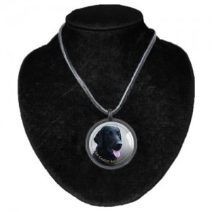 Halsband med Flatcoated Retriever
