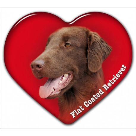 Dekal med Flatcoated Retriever