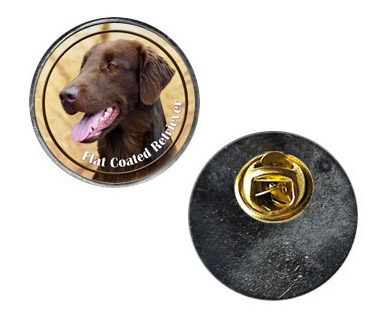 Pin med Flatcoated Retriever