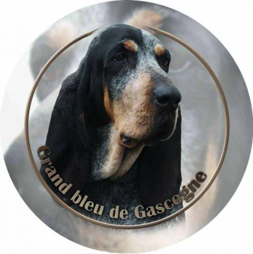 Dekal med Grand Blue de Gascogne