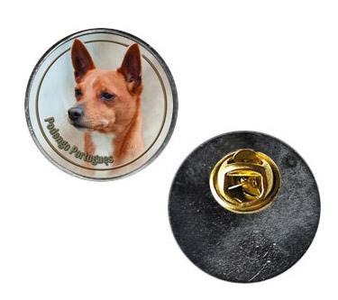 Pin med Podengo Portugues