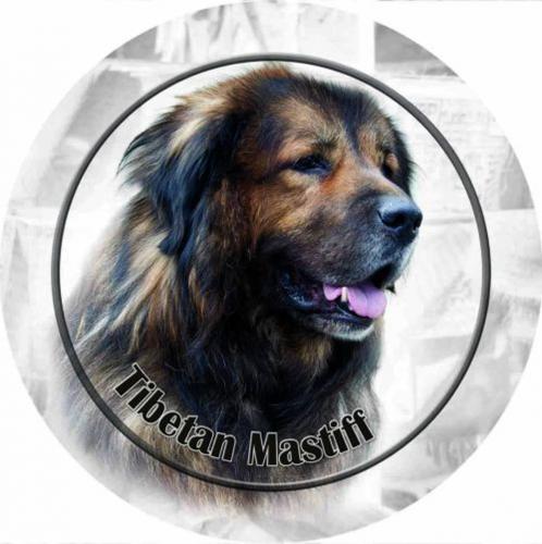 Dekal med Tibetansk Mastiff