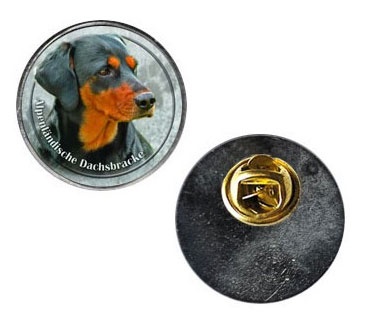 Pin med Alpenländischer Dachsbracke