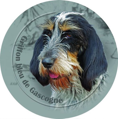 Dekal med Griffon Blue de Gascogne